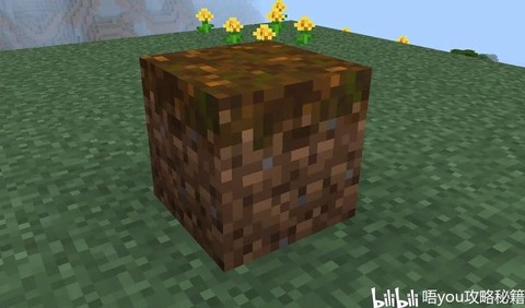 我的世界怎么种蘑菇