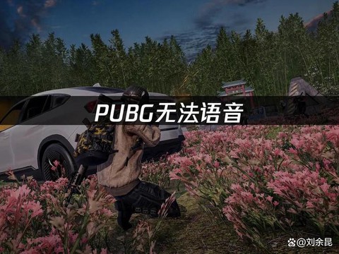 绝地求生怎么不能语音