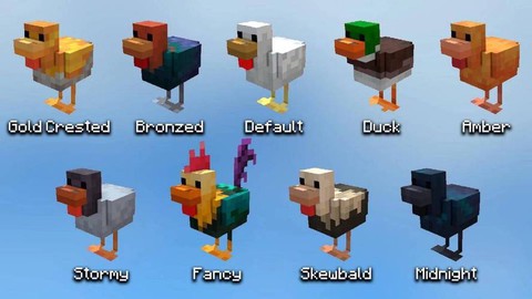 我的世界鸭子吃什么[图1]