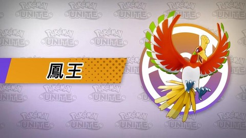 口袋妖怪怎么找到凤王